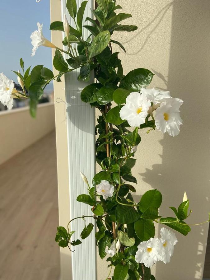 Apartmán Rossini Penthouse Cagliari Exteriér fotografie