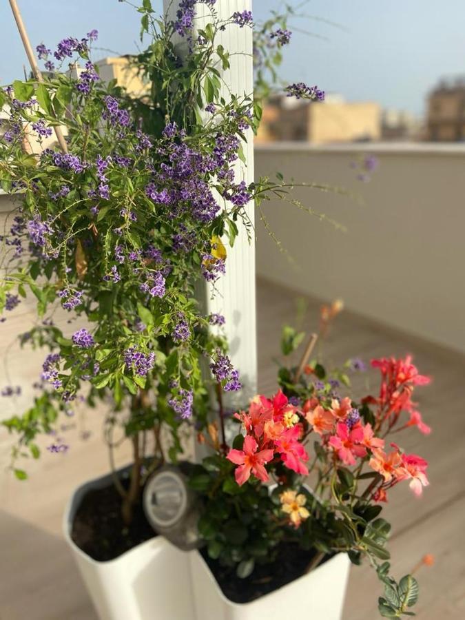 Apartmán Rossini Penthouse Cagliari Exteriér fotografie